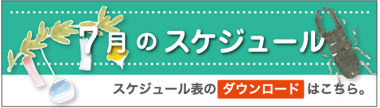 7月のスケジュール
